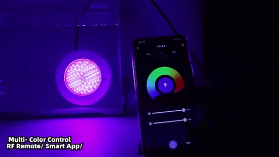 China Factory PC Ultra Thin Resin Filled AC DC 12V LED Swimming Pool Light Underwater Light Remote Control