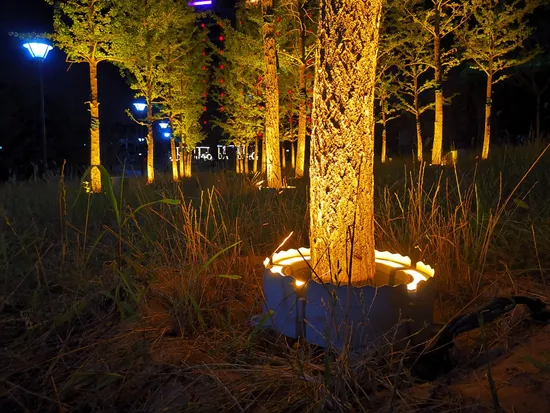 Round Ring Tree Holding Waterproof24W/ 72W/90W/120W/144W IP65 Warm White LED Outdoor Flood Fixtures Garden Tree Light 
