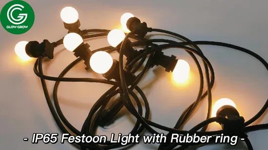 Factory Christmas Belt Light LED Bulb String Light for Patio Party House Xmas Commercial Building Festoon Wedding Ramadan Decoration 