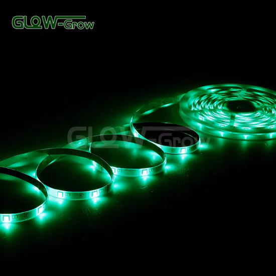 5m Waterproof RGB White SMD LED Strip Light for Stair Table Decoration